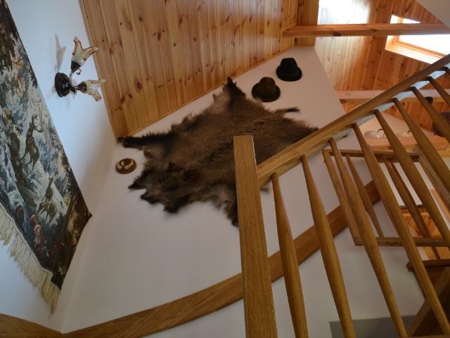 Zagajnik Holiday House Sucha Rzeczka Camera foto